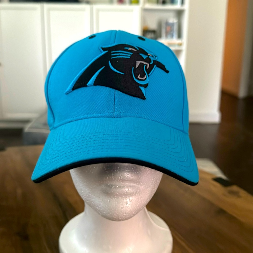 Panthers Hat